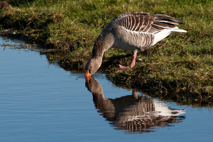 300 polluants contaminent nos eaux souterraines