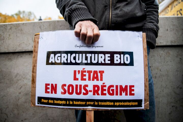 <span class="caps">PAC</span> : les agriculteurs bio dénoncent le retard de leurs aides