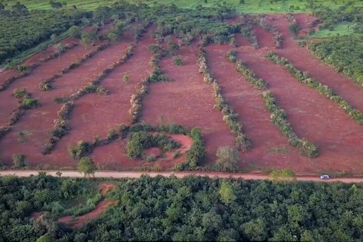 Au Brésil, la déforestation du Cerrado surpasse celle de l'Amazonie
