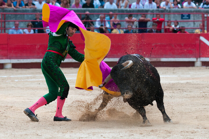 La corrida est désormais interdite en Colombie 