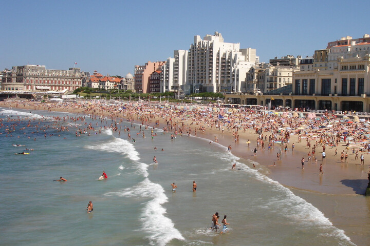 Cette algue qui rend malade et se répand sur les plages