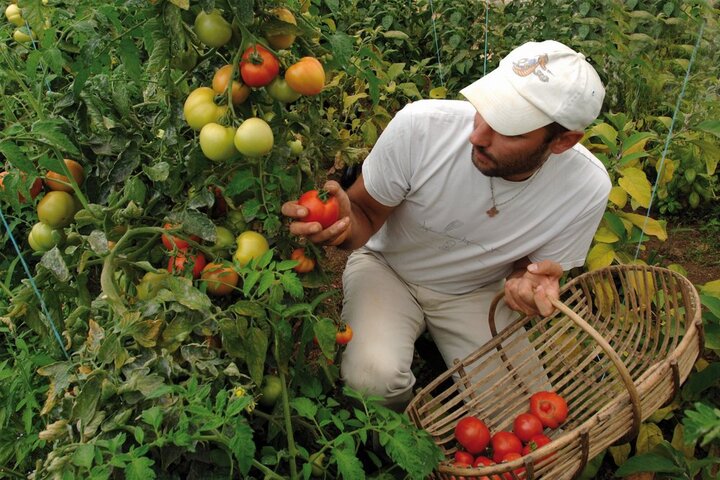 Le département des Deux-Sèvres veut retrouver sa souveraineté alimentaire 