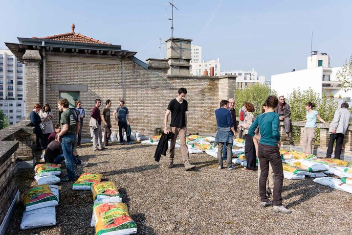 Des légumes vont pousser au-dessus de la tête des collégiens