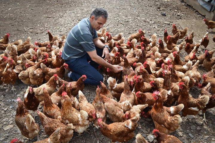 Dans l'empire de l'agrobusiness, au Brésil, une entreprise bio défend une agriculture «<small class="fine d-inline"> </small>spiritualiste<small class="fine d-inline"> </small>»