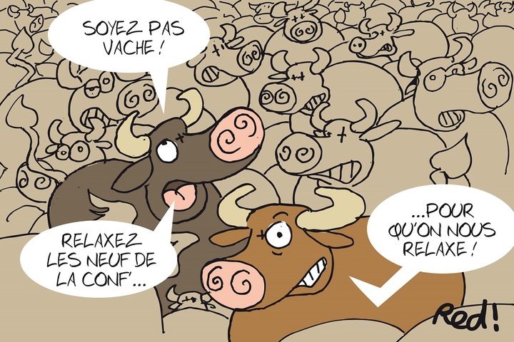 Il faut relaxer les neuf inculpés de la ferme-usine des Mille vaches