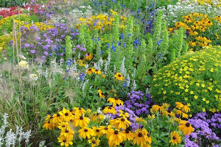 Ménageant chèvre et chou, la loi sur la biodiversité présente un bilan mitigé