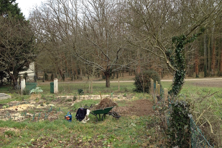 Opération sauvegarde des framboisiers<small class="fine d-inline"> </small>!