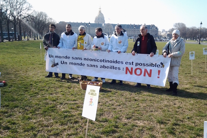 Bataille à l'Assemblée pour faire interdire les pesticides tueurs d'abeilles