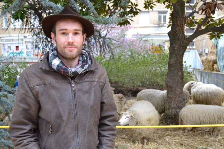 Comment élever un troupeau de moutons en ville<small class="fine d-inline"> </small>?