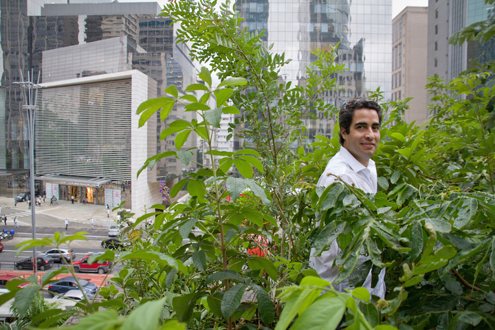 Au Brésil, des passionnés font revenir la nature en ville