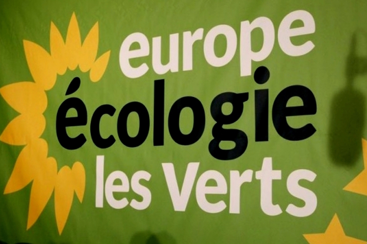 Congrès d'<span class="caps">EELV</span> : se relever, ou continuer à sombrer