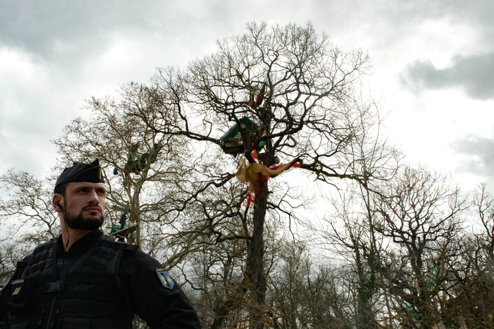 A69 : l'abattage des arbres suspendu, les opposants peuvent redescendre