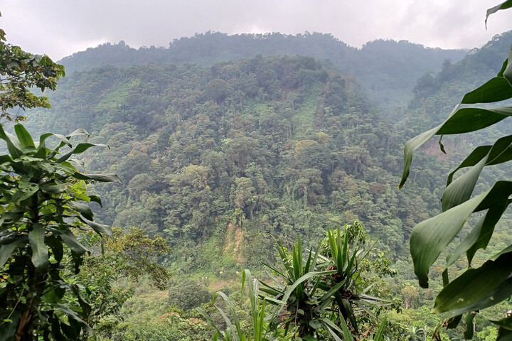 Le changement climatique va déplacer les pluies tropicales