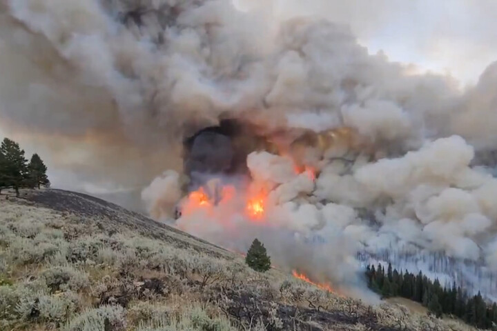 Incendies : 1 400 hectares consumés en Californie