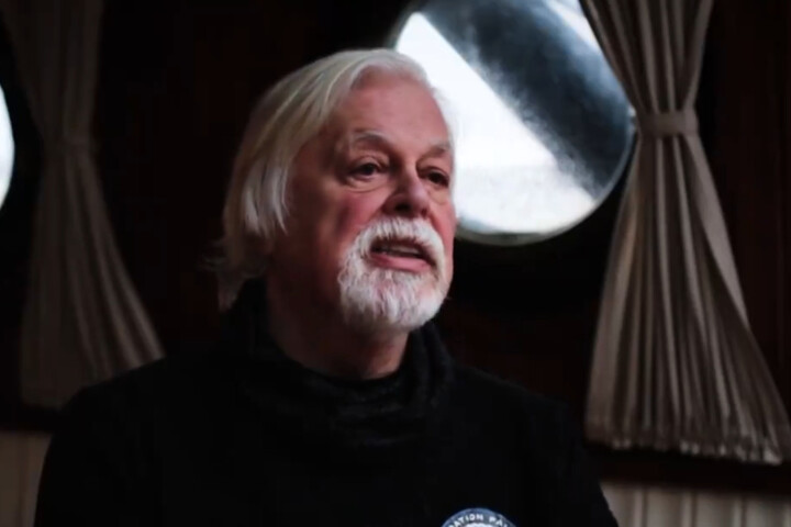 10 jours après son arrestation, le capitaine Paul Watson «<small class="fine d-inline"> </small>ne regrette rien<small class="fine d-inline"> </small>»