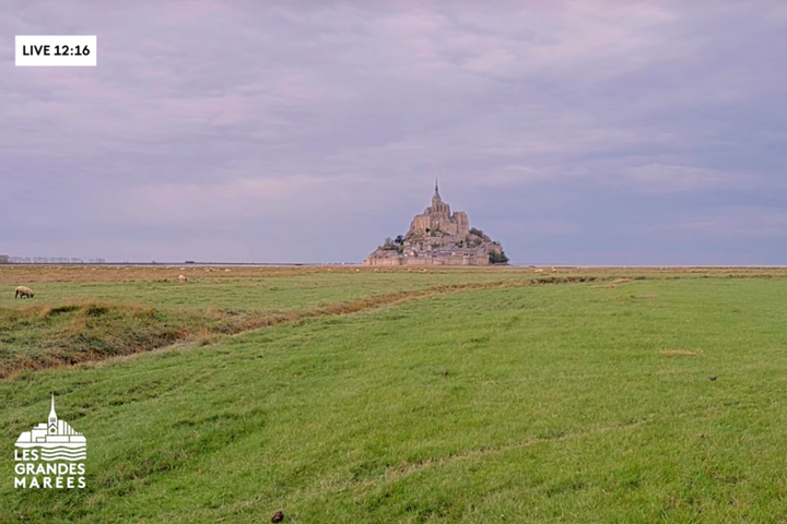 Télé, jeux vidéo... Peut-on apprendre à aimer la nature via les écrans<small class="fine d-inline"> </small>?