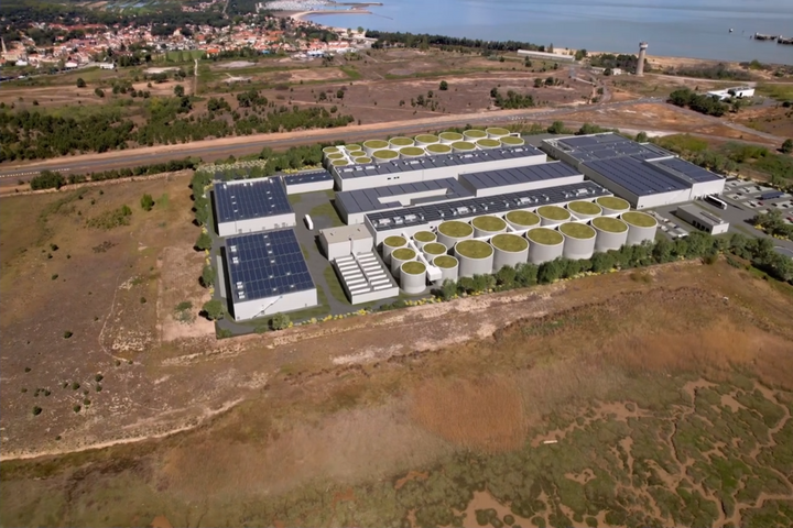 Mégaferme de saumons : avis favorable malgré les risques de pollution en Gironde