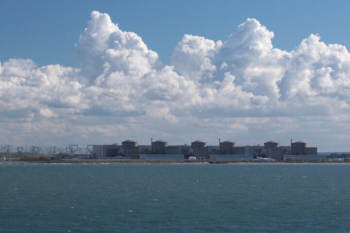 Un banc de méduses met la centrale nucléaire de Gravelines à l'arrêt
