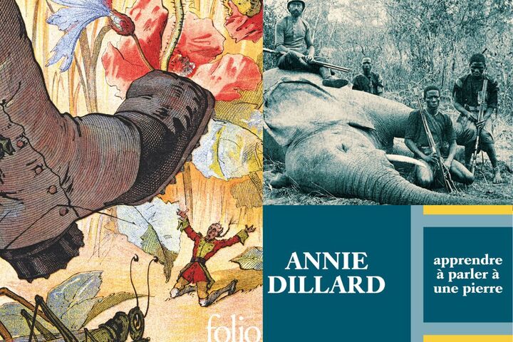 3 grands livres écolos à (re)découvrir cet été