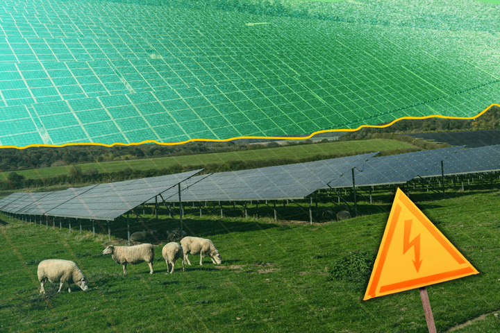 Solaire dans les champs : les mirages de la ruée vers l'or