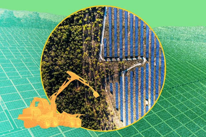 Panneaux solaires au sol : les forêts et terres agricoles sacrifiées