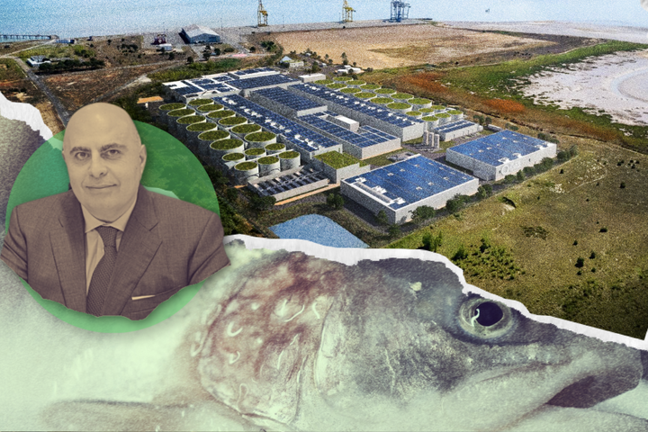 Mégaferme à saumons : cet ex-trader qui veut faire du poisson le nouveau pétrole