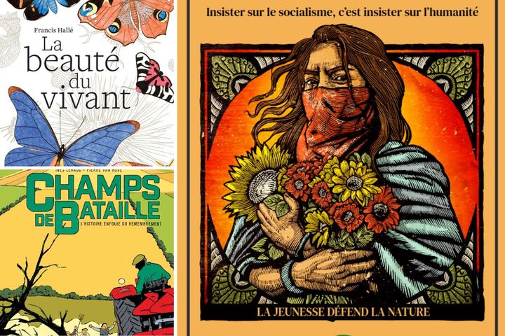 Le mystère de la beauté, activisme en <span class="caps">SF</span>, campagne remembrée... à lire et à voir en décembre