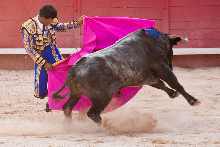 La corrida, un spectacle dépendant des aides publiques