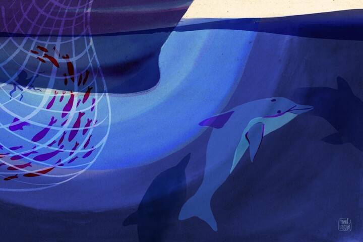 Capture et mort des dauphins : les pingers ne sont pas la solution miracle