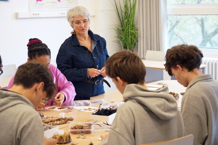Plumes, bois et tissus : quand les collégiens découvrent les activités manuelles