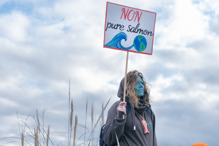 Guillaume Meurice, Camille Étienne... 200 personnalités disent non à la première méga-usine de saumons en France
