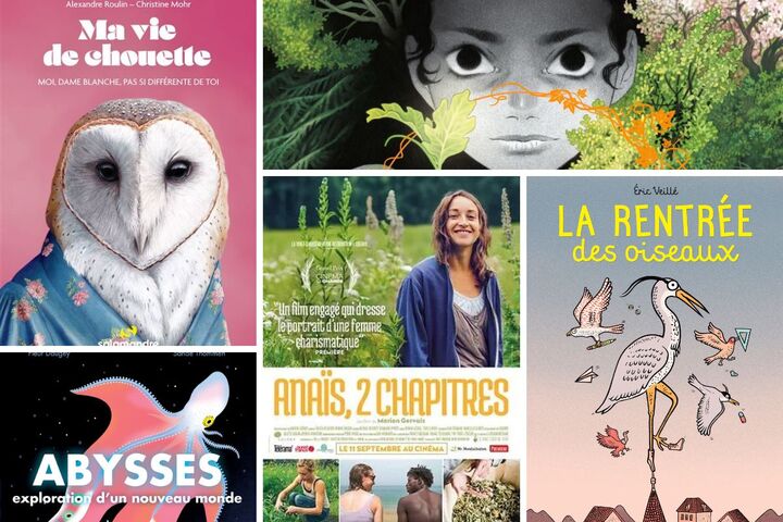 Notre sélection culturelle de l'automne : navigatrice, vie de chouette et spéculum