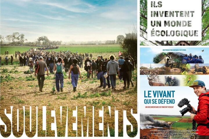 Lutte et beauté du vivant : trois œuvres qui redonnent espoir