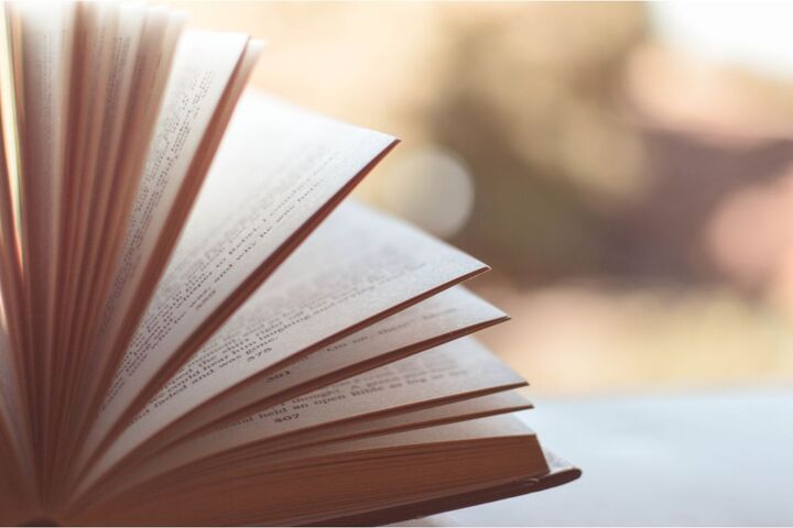 Pour les fêtes de Noël, les livres climatosceptiques cartonnent
