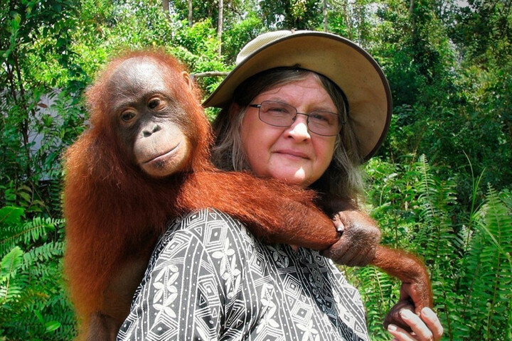 La primatologue Biruté Galdikas est morte, à l'âge de 79 ans