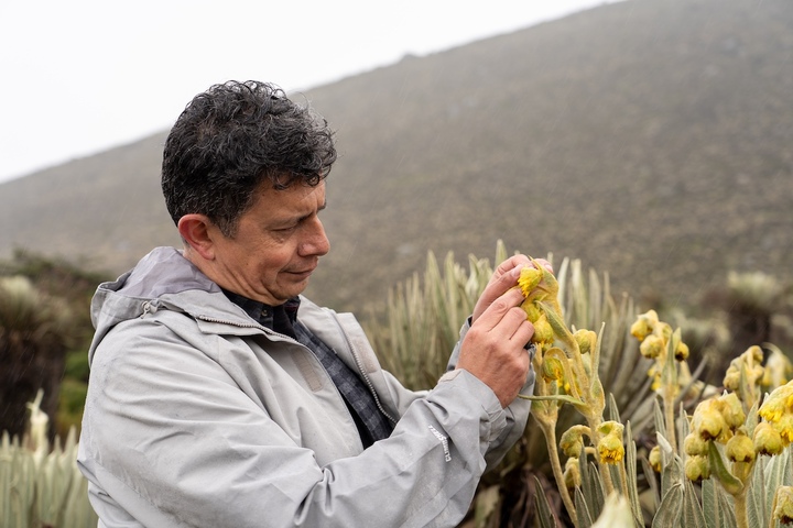 Pour sauver les glaciers tropicaux, la lutte s'organise en Colombie