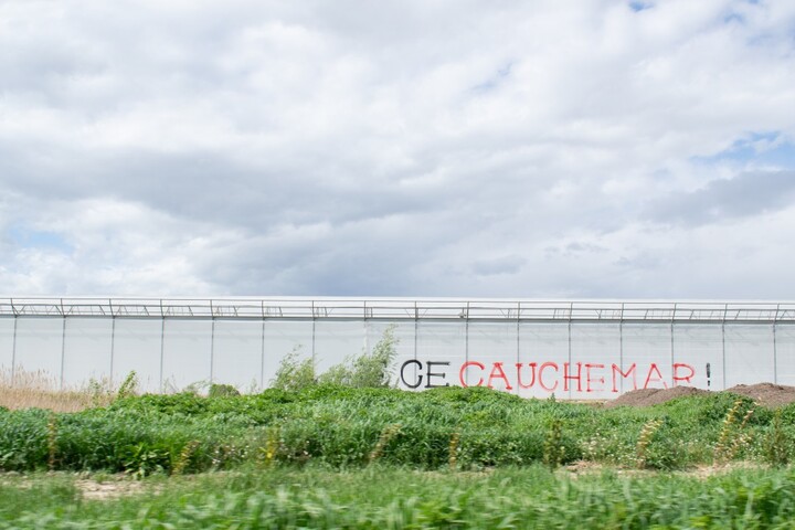 Pesticides interdits : prison ferme requise contre «<small class="fine d-inline"> </small>le roi de la salade<small class="fine d-inline"> </small>»