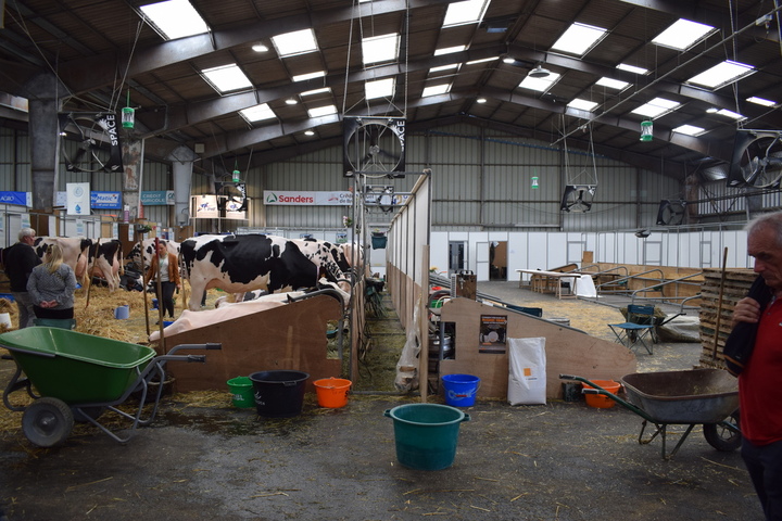 Veaux, vaches, moutons : les épizooties dépeuplent un salon de l'élevage 