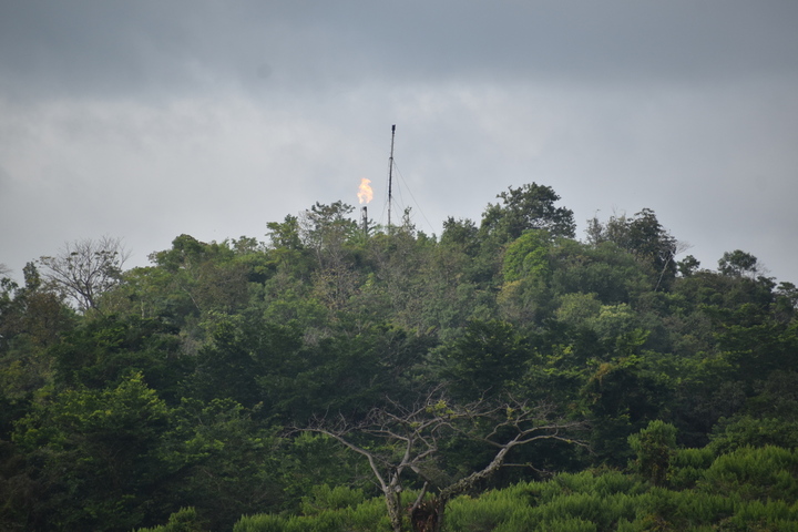 Le géant pétrolier Perenco quitte un parc naturel au Guatemala