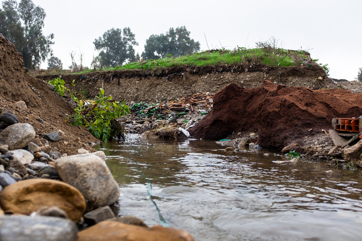 «<small class="fine d-inline"> </small>Tout ce qui se trouve dans l'eau va mourir<small class="fine d-inline"> </small>» : en Algérie, les déchets de la production d'huile d'olive polluent les fleuves