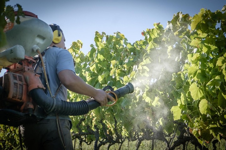 L'air français contient de nombreux pesticides, dont certains bannis depuis des années