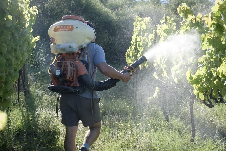 Pesticides dans l'eau : un rapport confidentiel dénonce «<small class="fine d-inline"> </small>l'échec<small class="fine d-inline"> </small>» du gouvernement