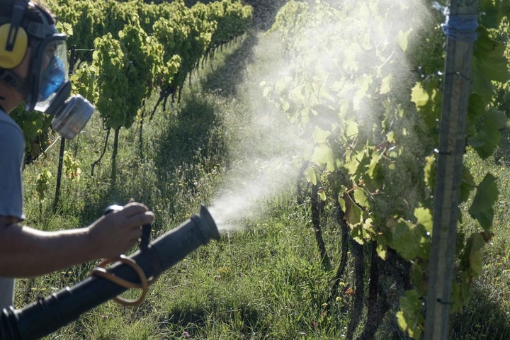 La France attaquée en justice pour avoir exporté des pesticides interdits