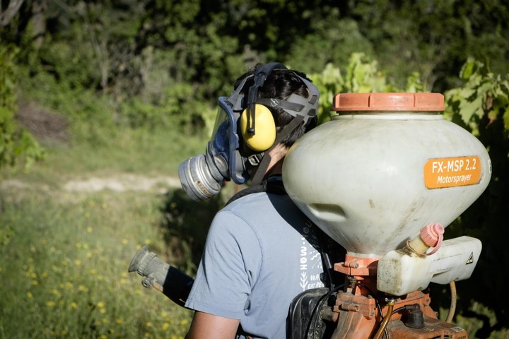 La justice retire du marché un désherbant à base de glyphosate