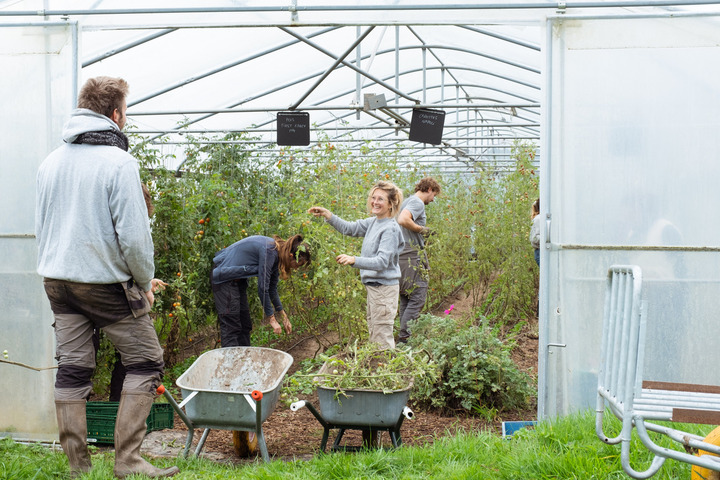 Pour renforcer l'agriculture paysanne, des bénévoles belges investissent les champs