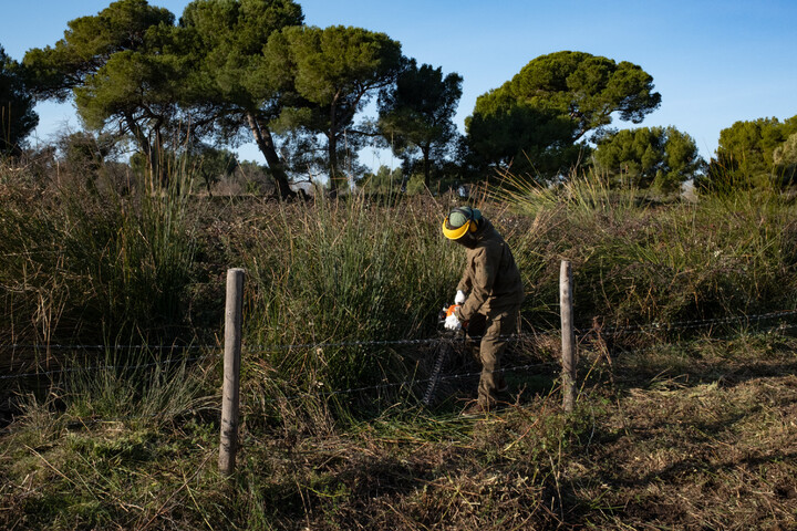 Justice : quand des chantiers dans la nature aident à la réinsertion