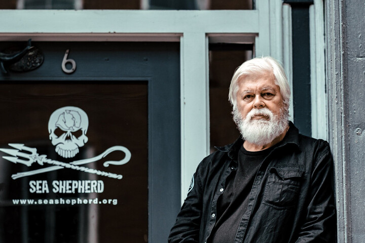 Paul Watson reste en prison : le récit d'une frénésie judiciaire et médiatique
