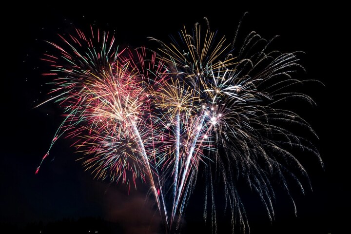Des oiseaux de la Loire sacrifiés pour un feu d'artifice du 14 juillet