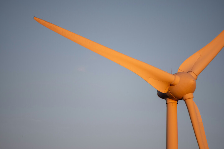 Oiseaux tués par des éoliennes : un procès historique contre <span class="caps">EDF</span>