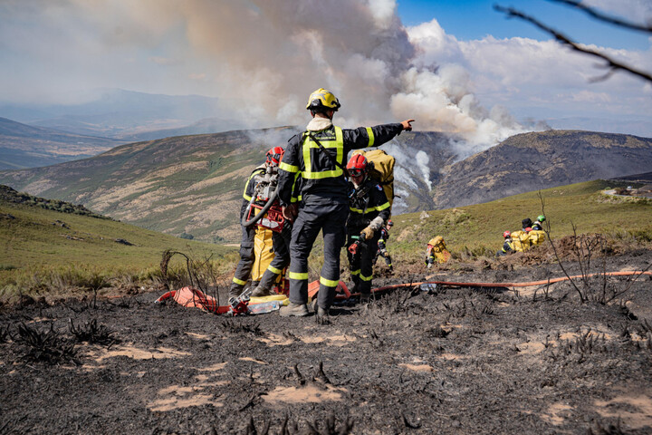 «<small class="fine d-inline"> </small>C'est une catastrophe<small class="fine d-inline"> </small>» : les incendies en Espagne ont détruit des parcs naturels